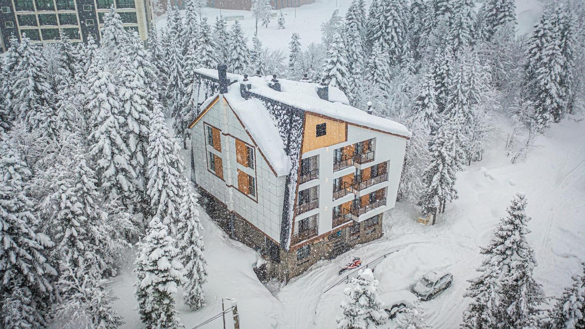 Forest Villa Goderdzi Esterno foto