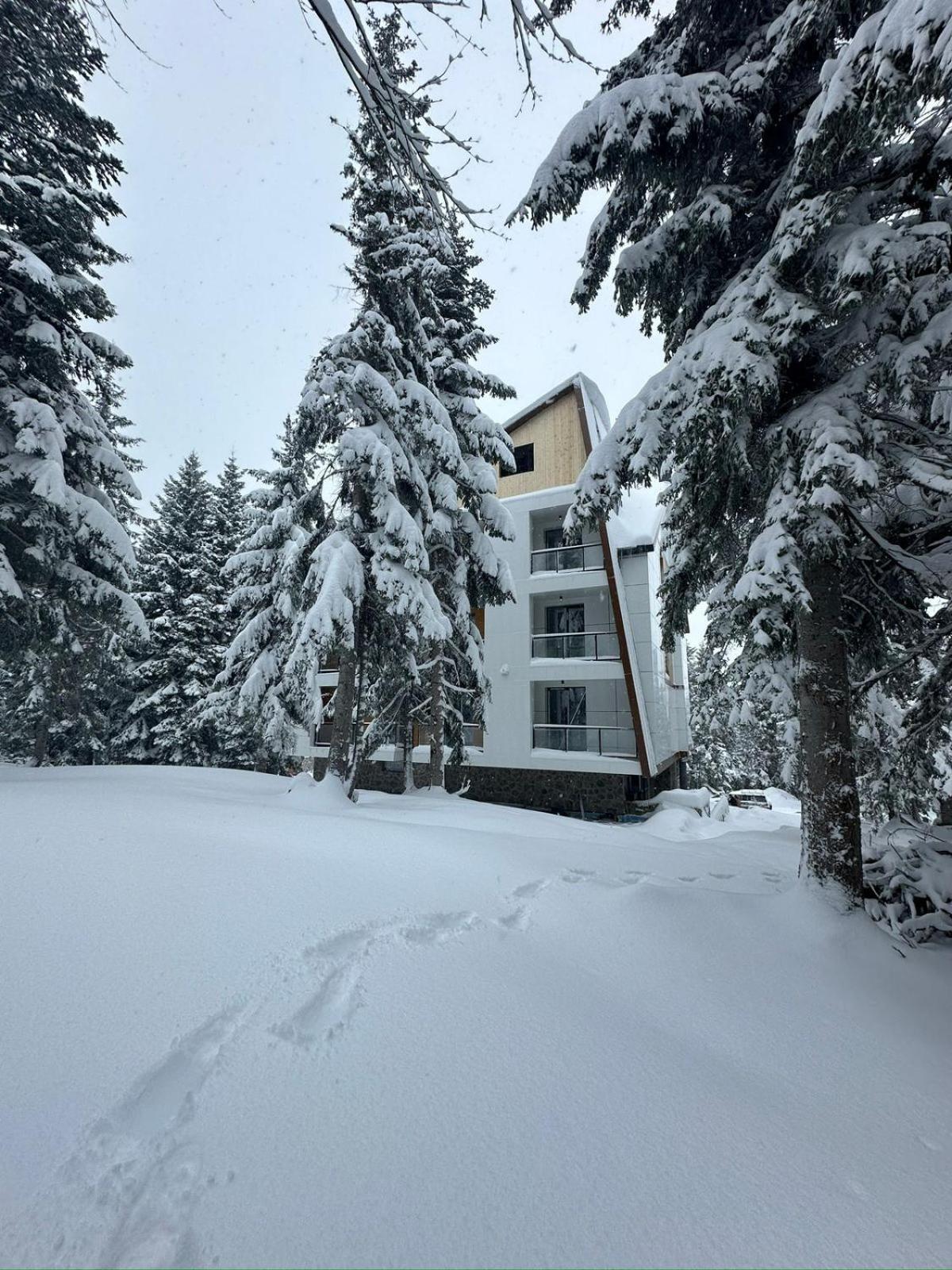 Forest Villa Goderdzi Esterno foto